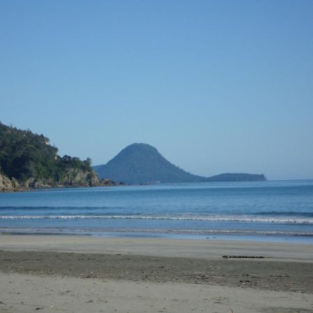 Beachfront Bliss Ohope ภายนอก รูปภาพ